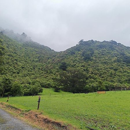 Gumboot Paradise Eco Stay Barrytown Eksteriør bilde